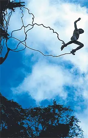 A man bungee jumping with vines attached to his feet.